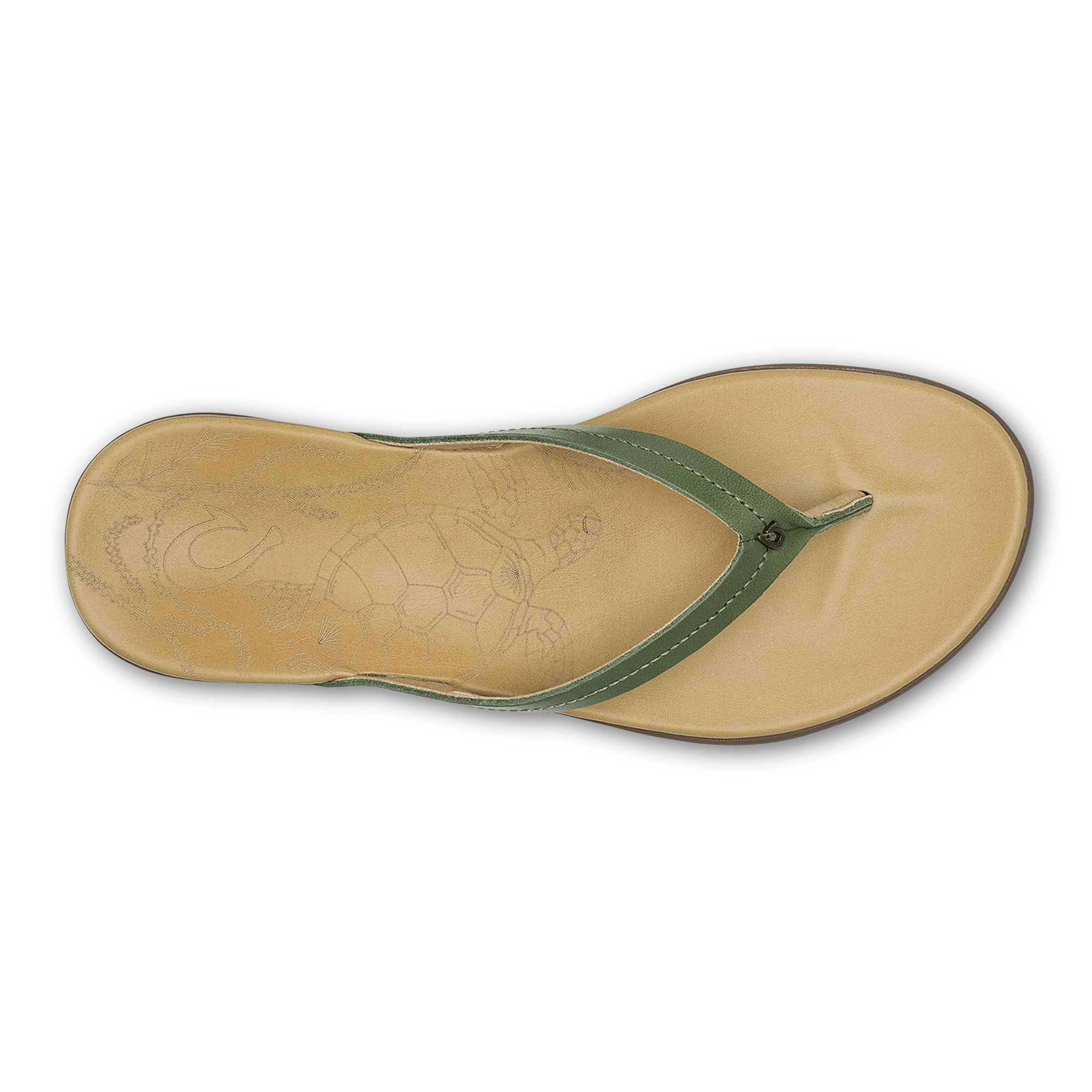 Honu  -  Green Olive / Golden Sand