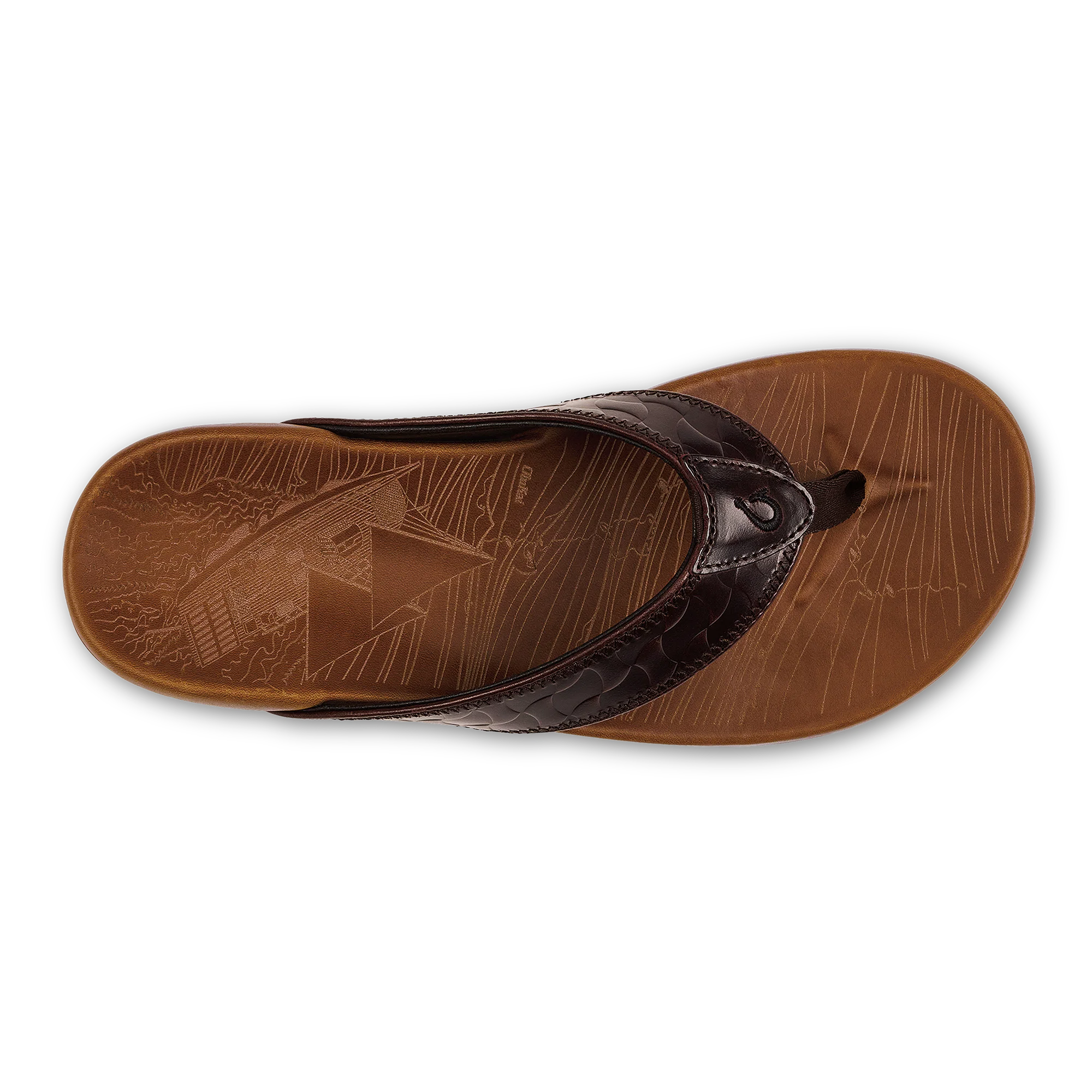 Hikianalia  -  Dark Java / Tan